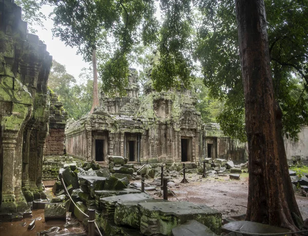 O Prohm é o maior templo, chove na estação chuvosa . — Fotografia de Stock