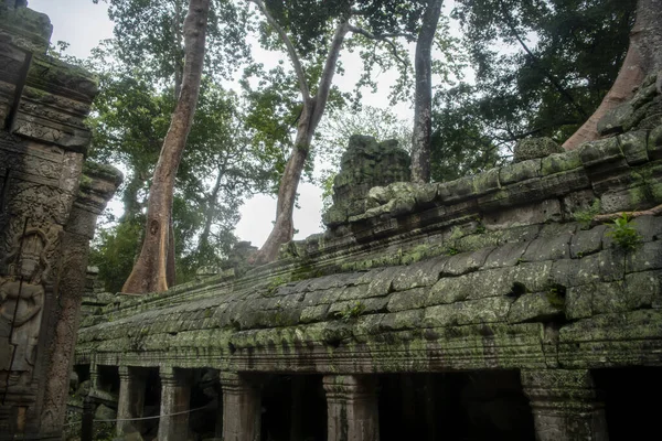 O Prohm é o templo, chove na estação chuvosa. — Fotografia de Stock