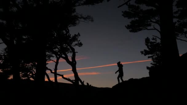 Silhouet van meisje bij zonsondergang — Stockvideo