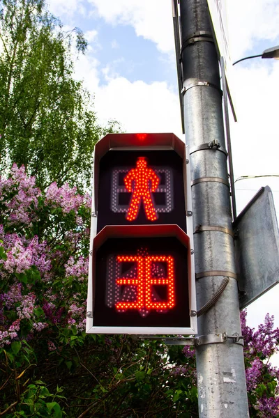 Red traffic light in the city street