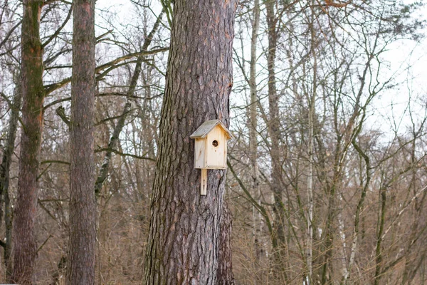 Деревянный скворечник висит на дереве — стоковое фото