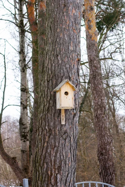 Drewniany domek dla ptaków wiszący na drzewie — Zdjęcie stockowe