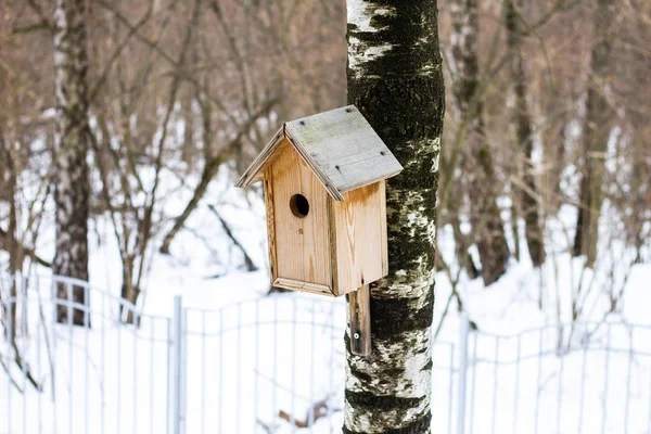 Casa de pássaros de madeira pendurada em uma árvore — Fotografia de Stock