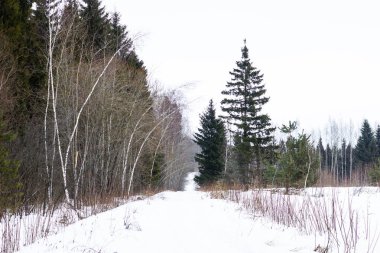 ahşap yol Rus kış