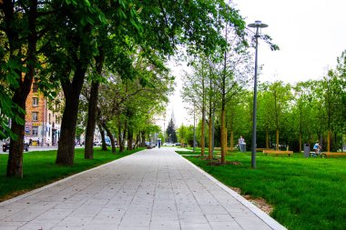 Yeşil Yaz park