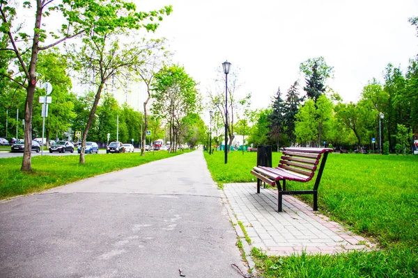 Park yaz yeşil tezgah