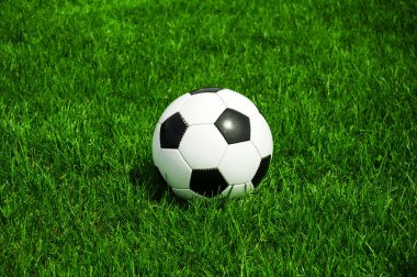 futbol topu siyah ve beyaz yeşil çim güneşli yaz aylarında Doğal Tarih