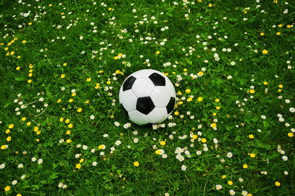 Piłka Nożna Biały Czarny Jest Między Kwiaty Zielonej Trawie — Zdjęcie stockowe