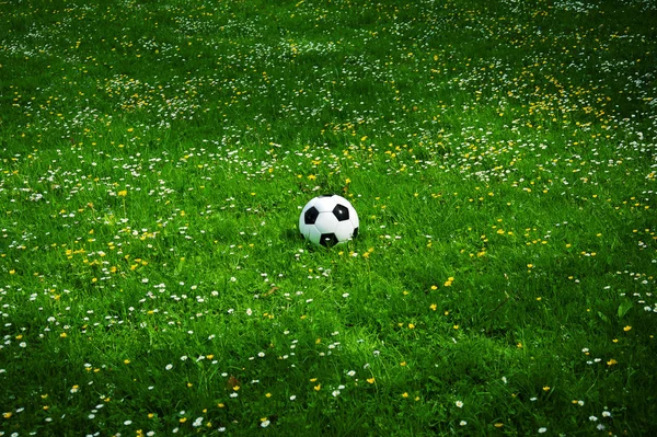 futbol topu futbol bahar yaz aylarında çiçekler arasında çim yalan söylüyor