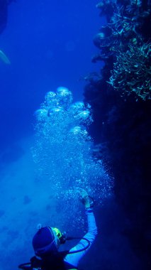 bir dalgıç koyu mavi su üzerinden hava kabarcıkları