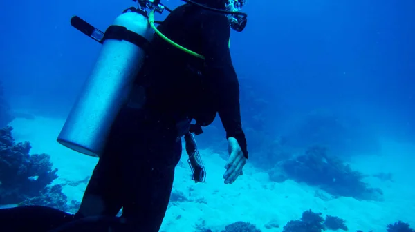 Plongeur Avec Bouteille Oxygène Dans Eau Bleue — Photo