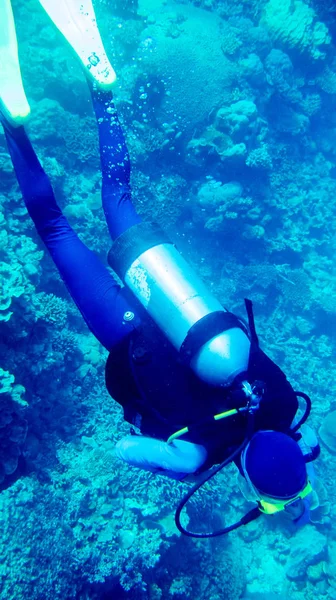 Buzo Desde Arriba Mar Azul Con Corales — Foto de Stock