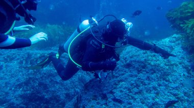 iki tüplü dalgıçlar, bir parmak ile gösteriyor