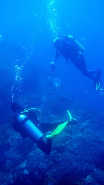 Deux Plongeurs Eau Bleue — Photo