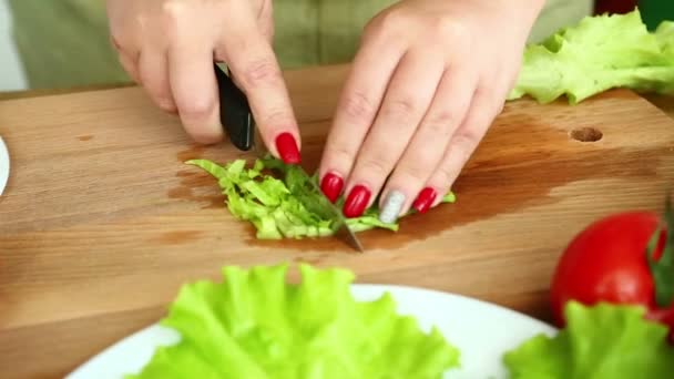 用樱桃西红柿 芝士和鹌鹑蛋制作自制蔬菜沙拉 女手用小刀切白菜叶 相机从左向右移动 — 图库视频影像