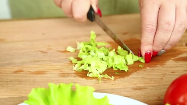 Koken Van Zelfgemaakte Groente Salade Met Cherry Tomaten Kaas Kwartel — Stockvideo