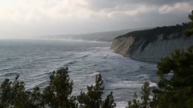 Fırtına dalgalar deniz kayalık sahilde yendi. Üstten görünüm, ağaçların dalları ile vurdu. Zaman sukut