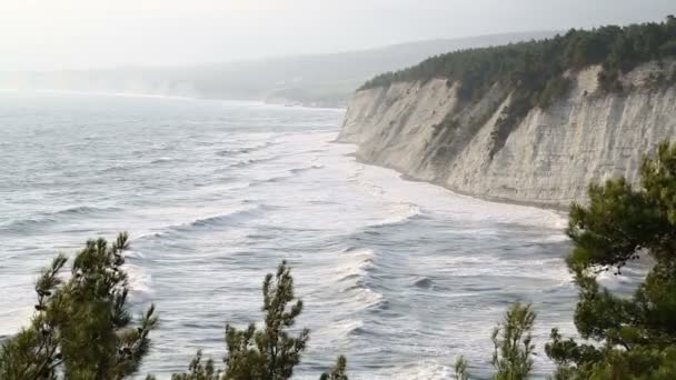 Les Vagues Mer Battent Sur Rivage Rocheux — Video