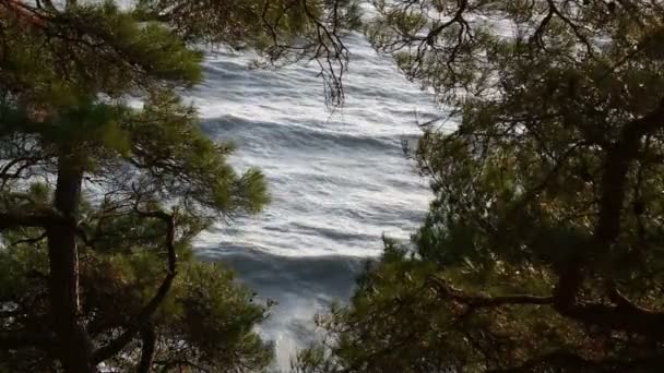 Las Olas Del Mar Costero Están Golpeando Contra Orilla — Vídeo de stock