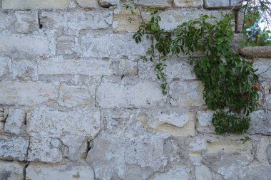 Doku. Duvar. Antik duvar parçası. Yatay