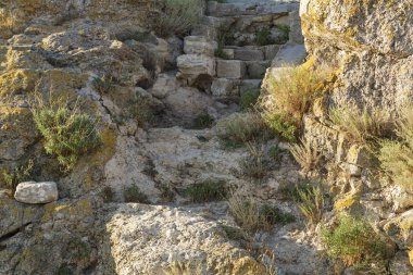 Rock imha. Kaya parçası. Yakın çekim. Yatay