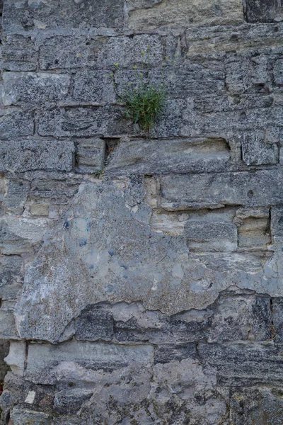 Texture Maçonnerie Fragment Ancien Mur Vertical — Photo
