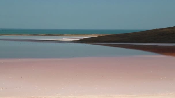 ローズ水 海と青い空の背景にある塩の湖 — ストック動画