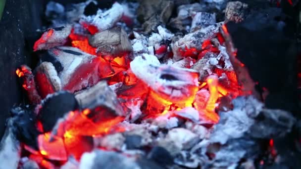 Αναμμένα Κάρβουνα Για Μπάρμπεκιου Στη Σχάρα — Αρχείο Βίντεο