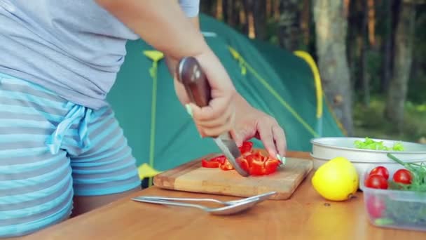 Una donna taglia un peperone rosso in un'insalata da picnic con un coltello . — Video Stock