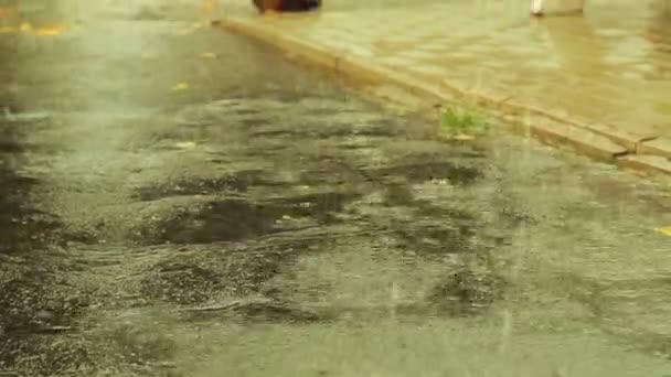 Grandes gotas de chuva caem na estrada de asfalto regada . — Vídeo de Stock
