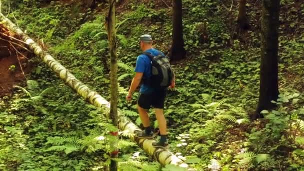 Un hombre con una mochila cruza un barranco a través de un árbol arrojado a través de él . — Vídeo de stock