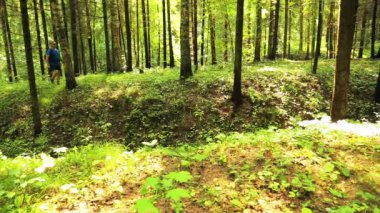 Bir adam bir sırt çantası ile ormanın içinden elini kolunu sallaya dönüyor. Ön planda bir vadiye yoktur.