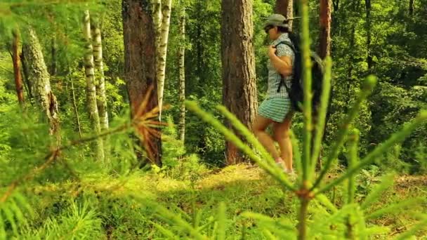 Een jonge toeristische vrouw haar rugzak opstijgt en gaat zitten om te rusten en te genieten van de natuur. — Stockvideo