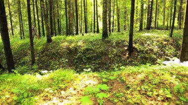 Genç bir kadın ormanda yürüyor. Ön planda bir vadiye yoktur.