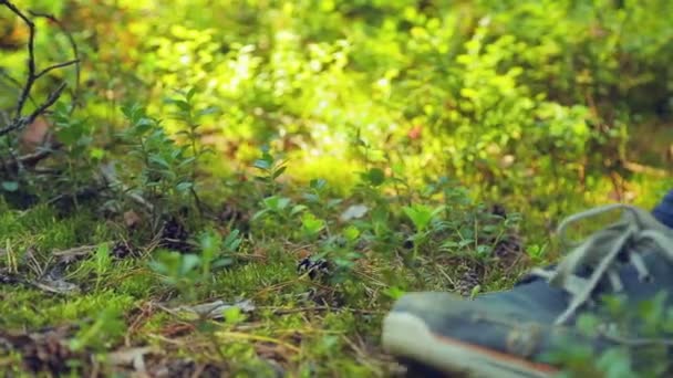 Férfi cipők lábak megy keresztül egy erdei tisztáson. — Stock videók