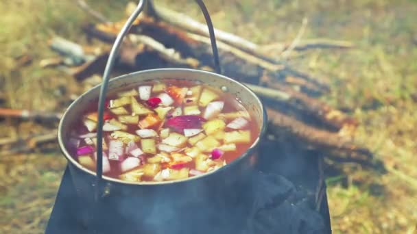 Женская рука закрывает миску крышкой от супа, стоящей на огне. . — стоковое видео