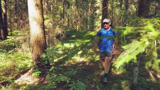 A man and a woman with backpacks on their back walking through forest thickets. — Stock Video