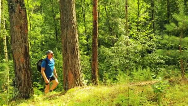 En man med en ryggsäck stiger till en kulle mitt i skogen. — Stockvideo