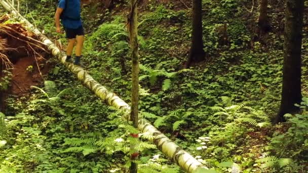 バックパックと男性は渓谷を通して倒れた木の上を渡る. — ストック動画