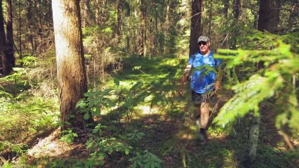 Un turista camina por el bosque, empujando el matorral con las manos . — Vídeos de Stock