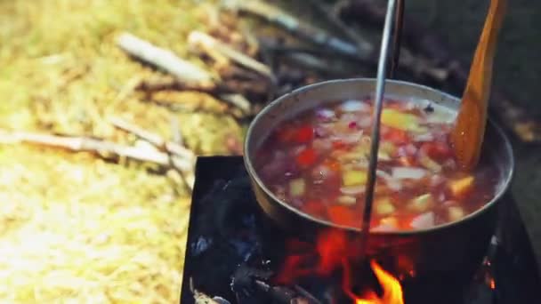 Uma colher de madeira é mexida com comida, que é cozida em uma panela que está em pé sobre o fogo . — Vídeo de Stock