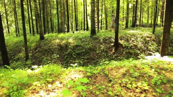 Een jonge vrouw is wandelen in het woud. Op de voorgrond is er een ravijn. — Stockvideo