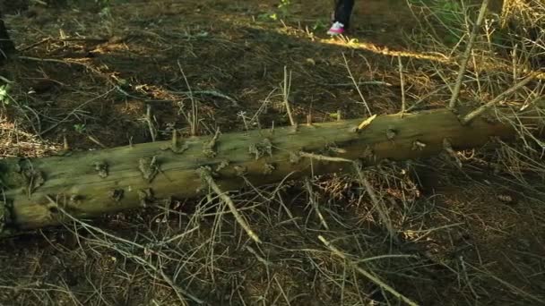 Pies femeninos pisan un árbol caído en el bosque . — Vídeo de stock