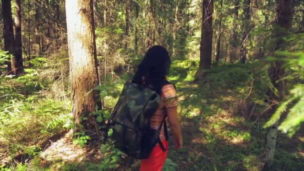 Un uomo e una donna con gli zaini sulla schiena che camminano attraverso boschetti di foresta. Sparatoria da dietro . — Video Stock