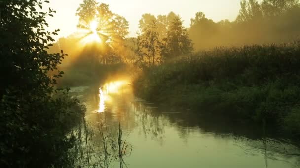Dimma på floden vid soluppgången. — Stockvideo