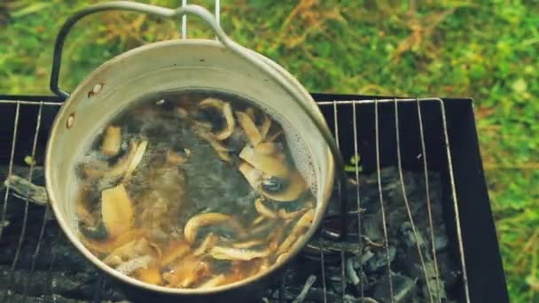 Boil Mushrooms Soup Kettle Standing Fire — Stock Video