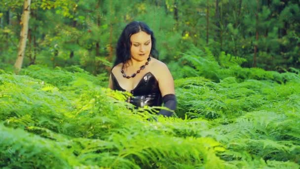 Une jeune sorcière vêtue de noir se tient dans une forêt dans un fourré de fougères. Halloween. Style gothick . — Video