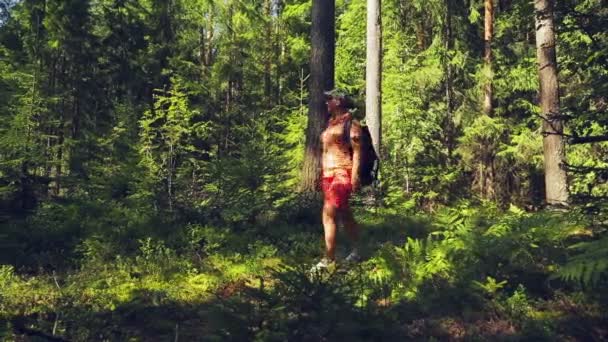 Kvinna turist med en ryggsäck bakom hennes rygg strosat i skogen. — Stockvideo