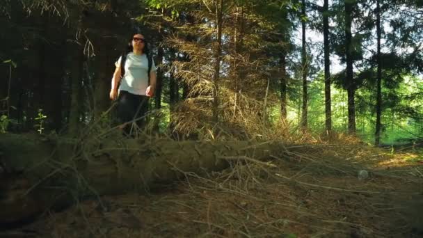 Una Mujer Bosque Denso Pisa Árbol Caído — Vídeo de stock