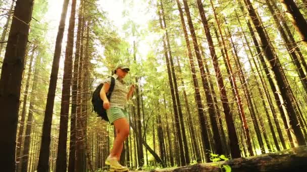 Een jonge vrouw met een rugzak zal kruisen het ravijn langs een omgevallen boom. — Stockvideo